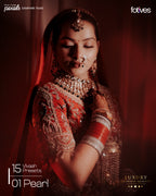15 Vivaah Premium Wedding Presets