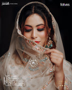 15 Vivaah Premium Wedding Presets