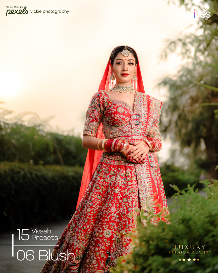 15 Vivaah Premium Wedding Presets