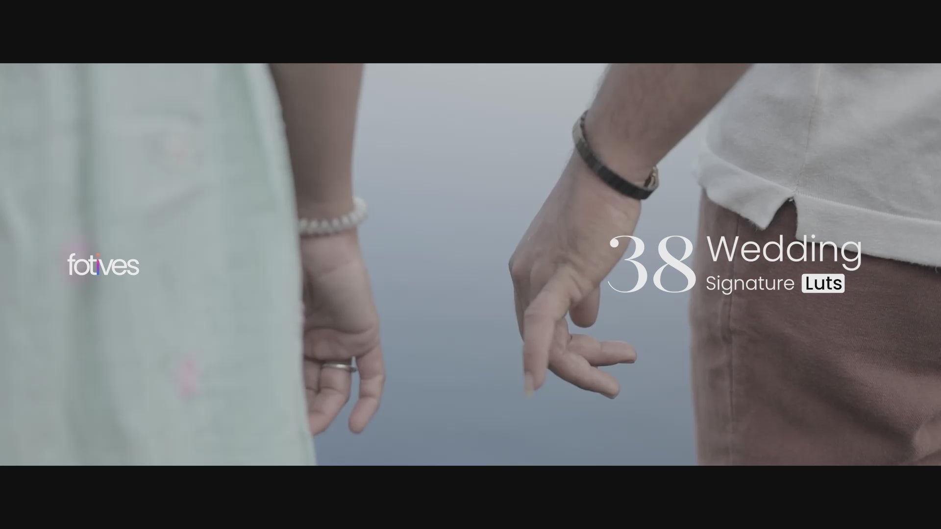 Signature 38 Selected Video LUTs