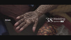 Signature 38 Selected Video LUTs
