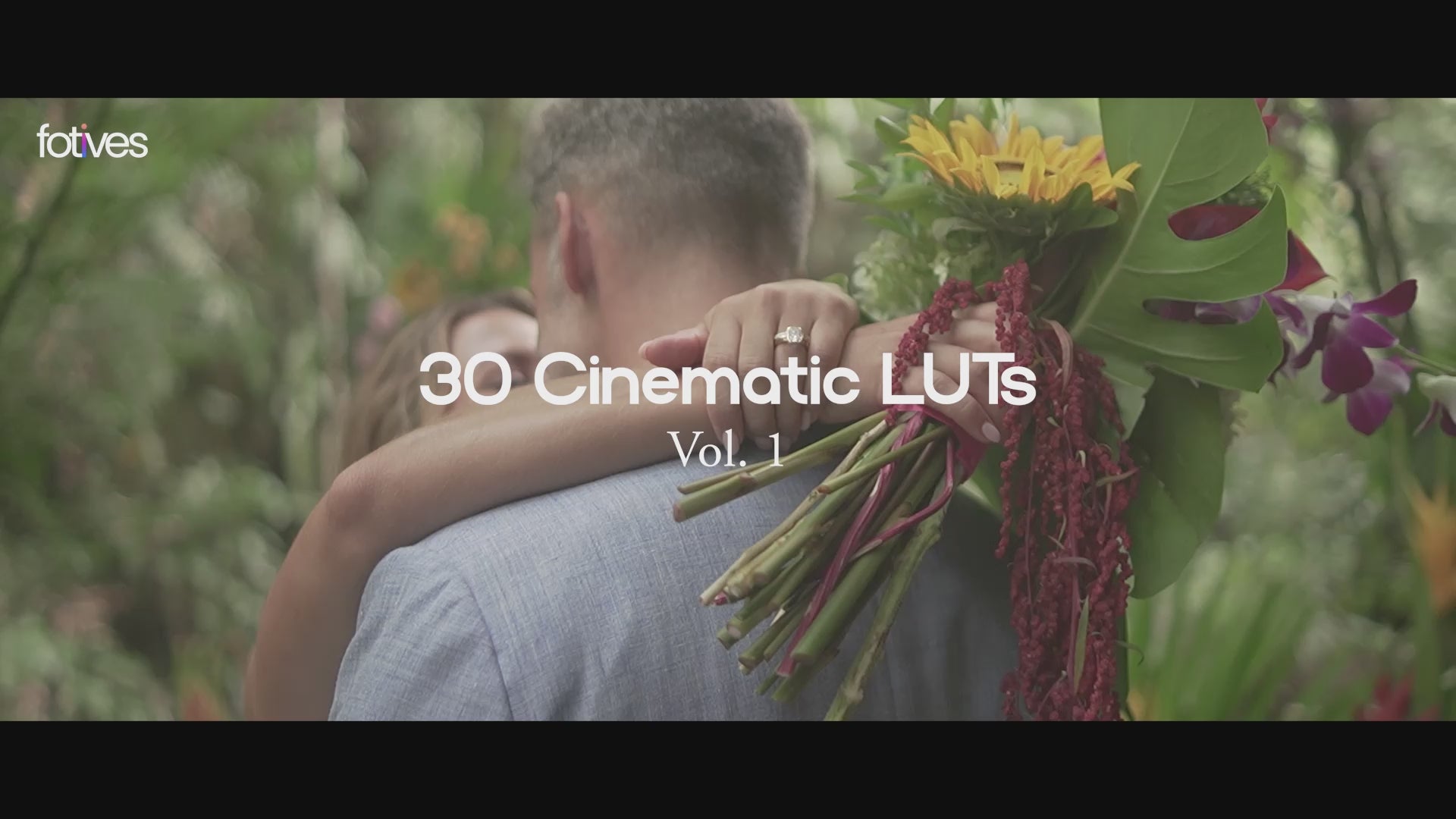 30 Cinematic LUTs Vol. 1