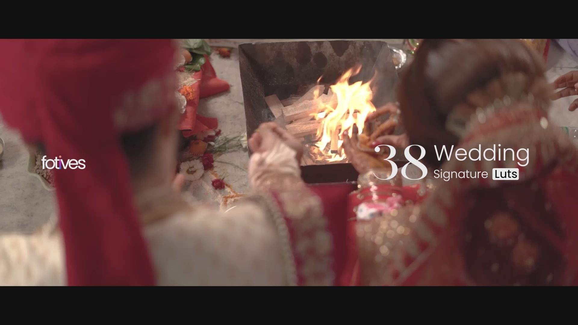 Signature 38 Selected Video LUTs
