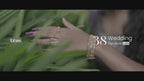 Signature 38 Selected Video LUTs