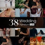 Signature 38 Selected Video LUTs
