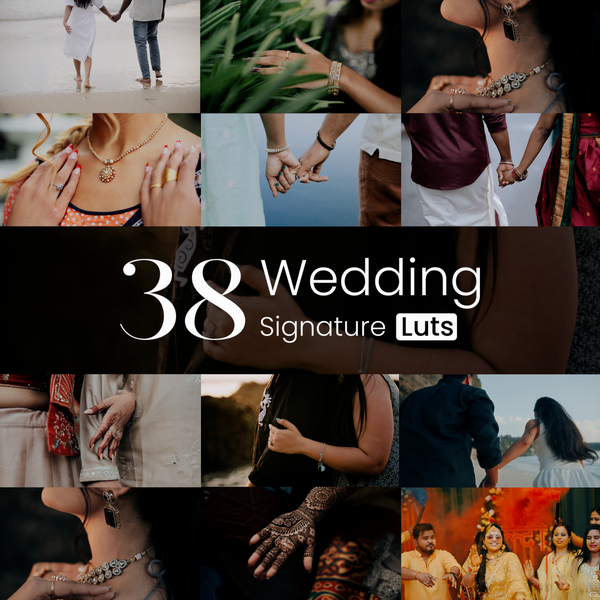 Signature 38 Selected Video LUTs